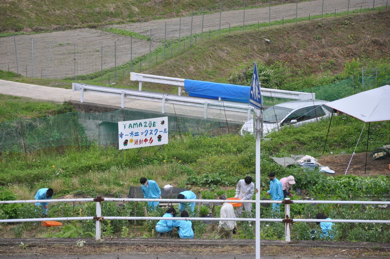 408.jpg